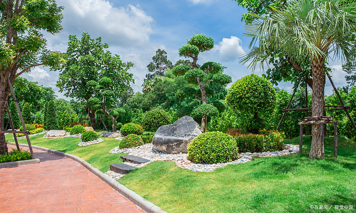 如何在有限的预算内,实现既经济又美观的园林景观设计?