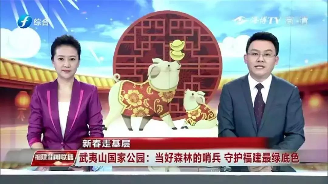 「媒体看武夷」福建新闻联播头条报道武夷山国家公园绿色哨兵