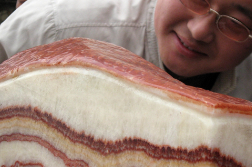 可惜了,180万元的"石头肉",只能看不能吃