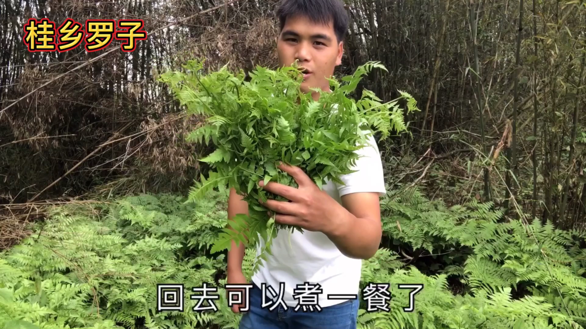 春耕时节,农村这种水蕨菜太多了,竹林小河边遍地都是