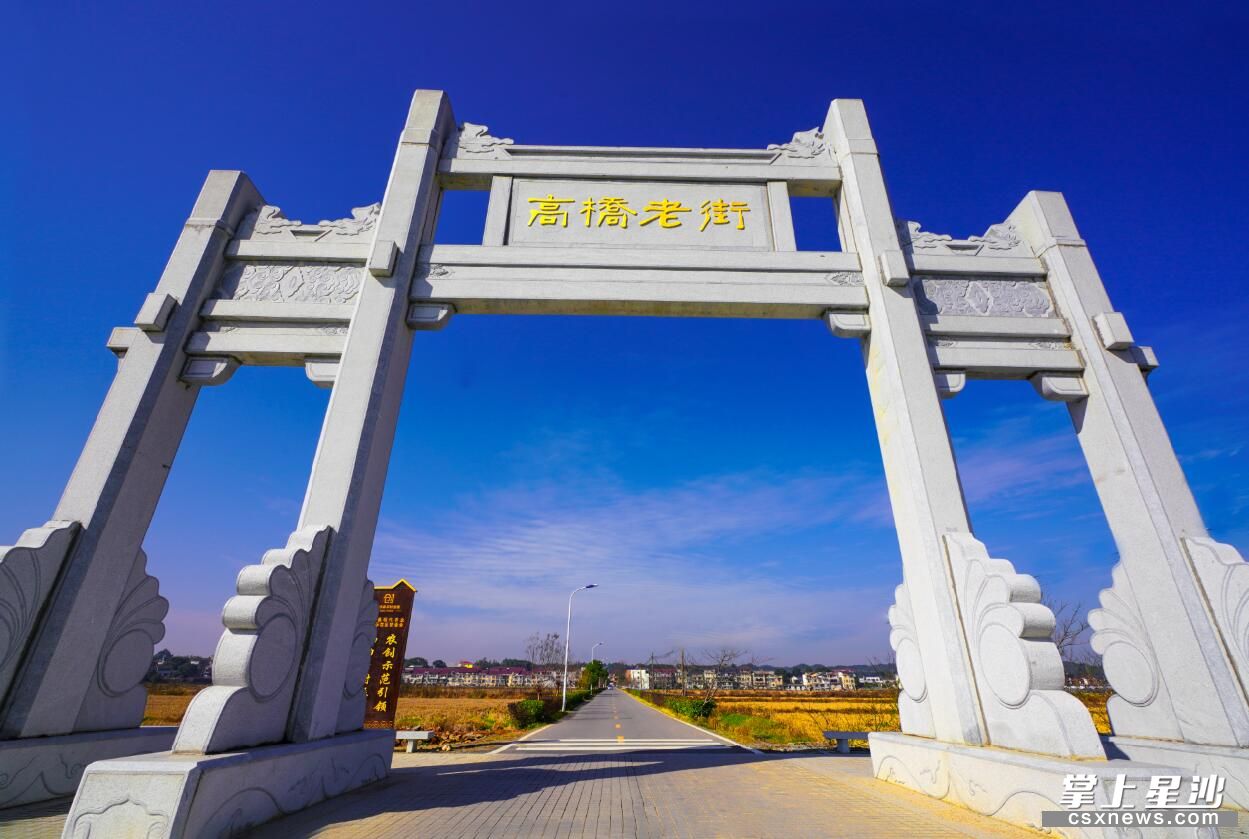 长沙县高桥镇:坚持农科兴镇 建设富美高桥