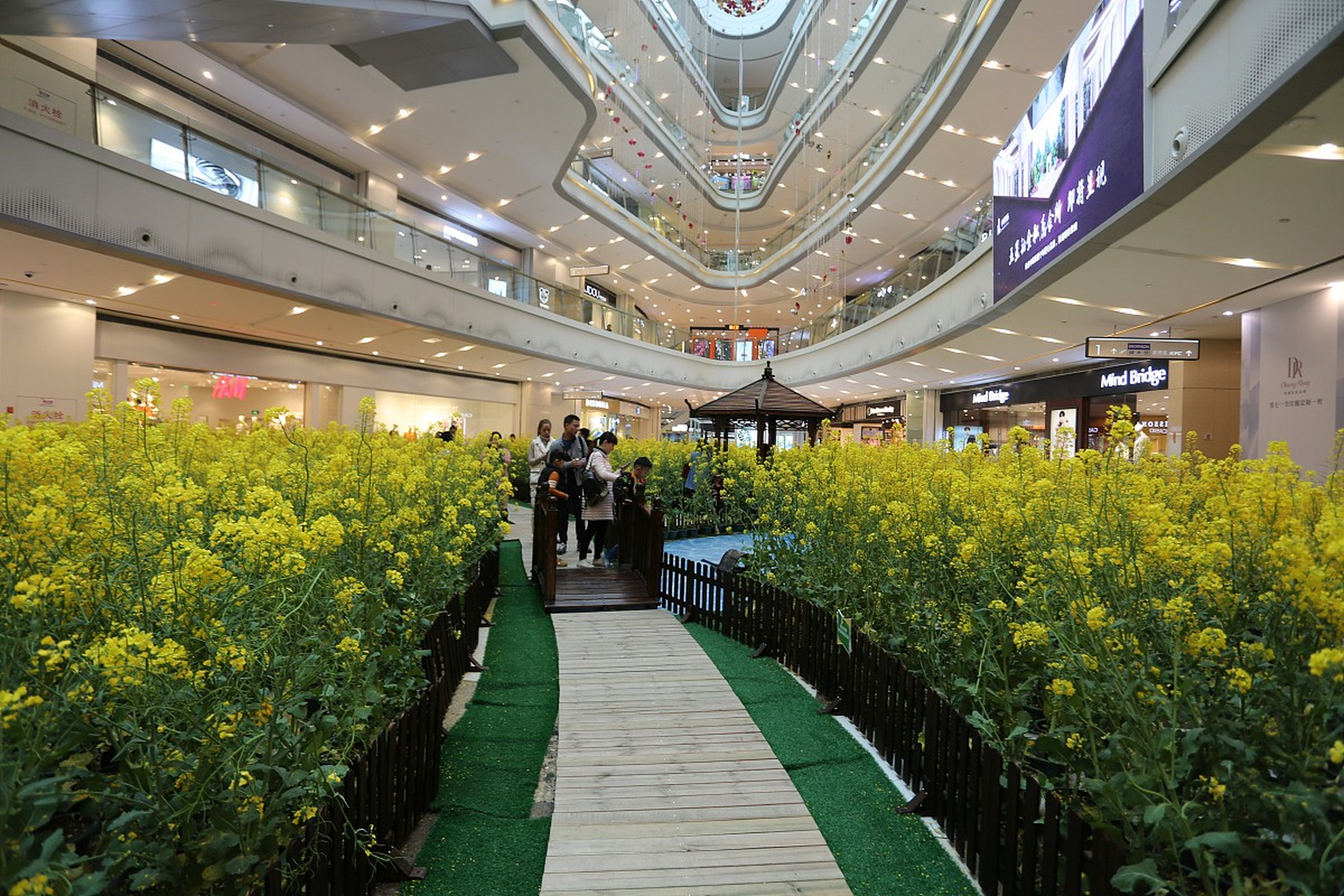 昨天,陪闺蜜到延安百货大楼逛了一圈,闺蜜看到一件小西服很漂亮,就问