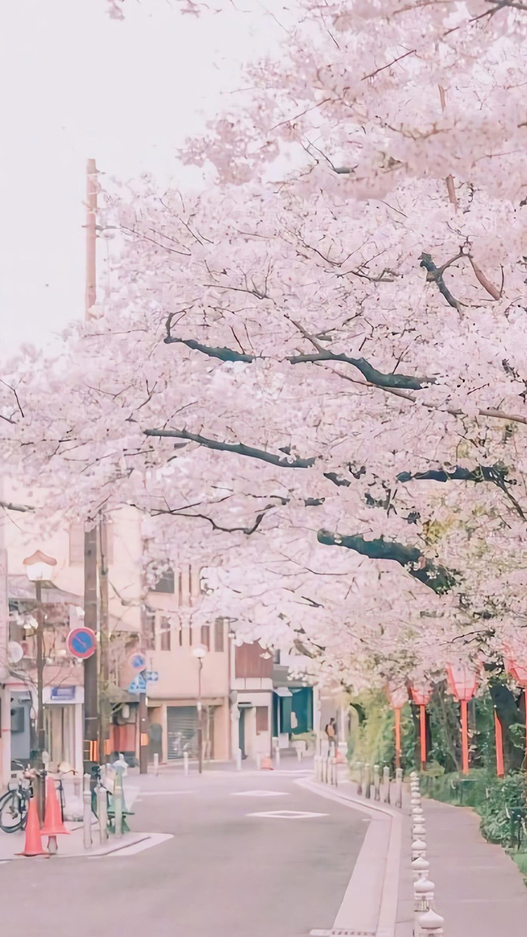 手机壁纸文艺 唯美图片