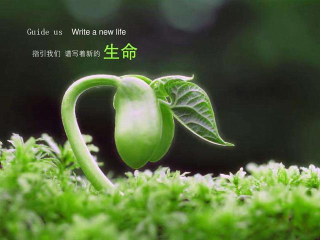 生命短暂,请你珍惜.