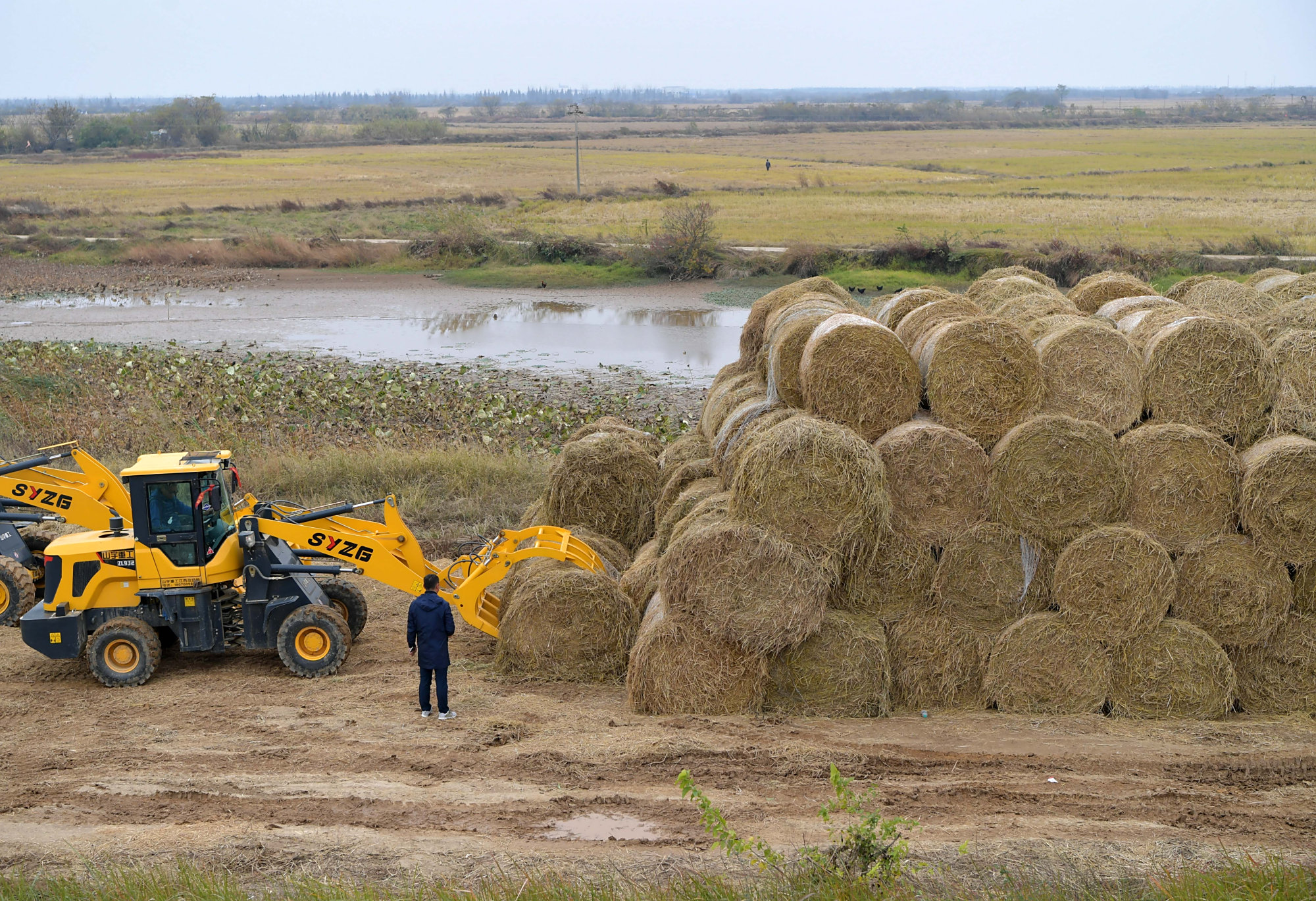 11月29日,在江西省南昌市南昌县蒋巷镇,秸秆回收企业的工作人员将回收