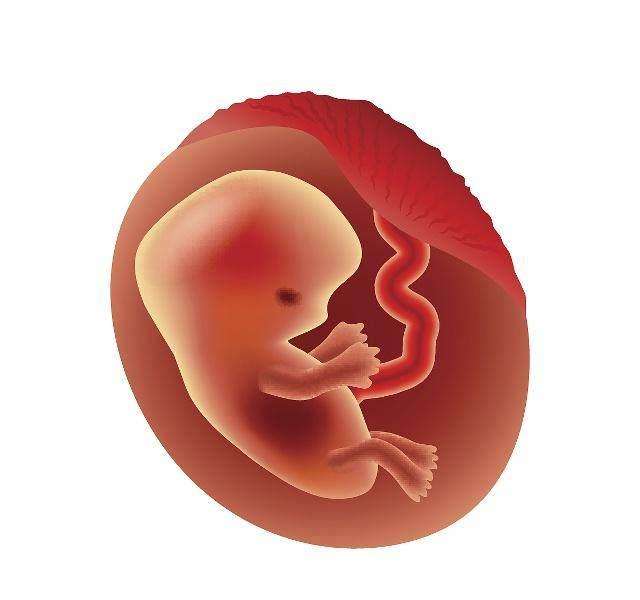 孕期10个月,但胎儿大脑发育就这3周,若想宝宝更聪明,别错过