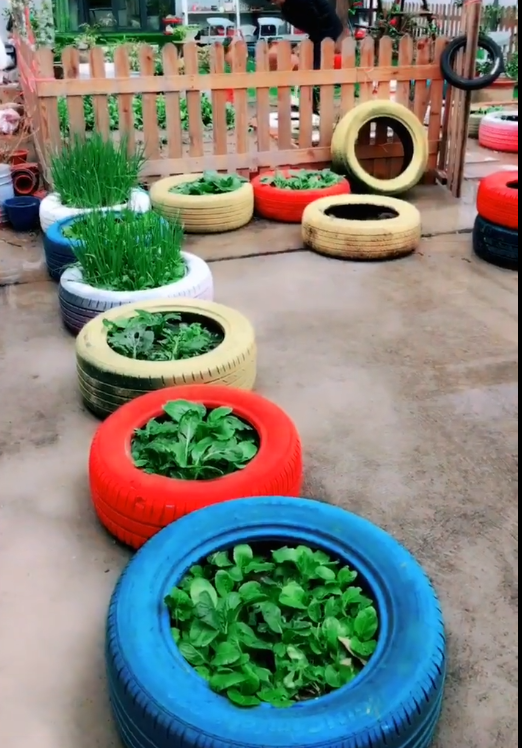 废物利用,别人家的小夫妻会生活,利用轮胎种花种菜,美极了