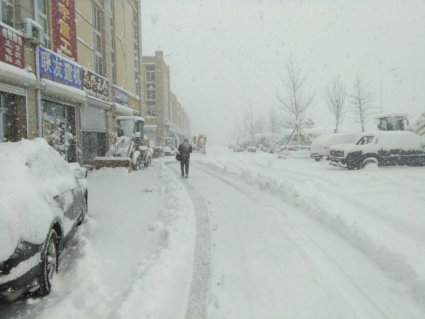 这才是真正的鹅毛大雪!威海已经成了雪窝子