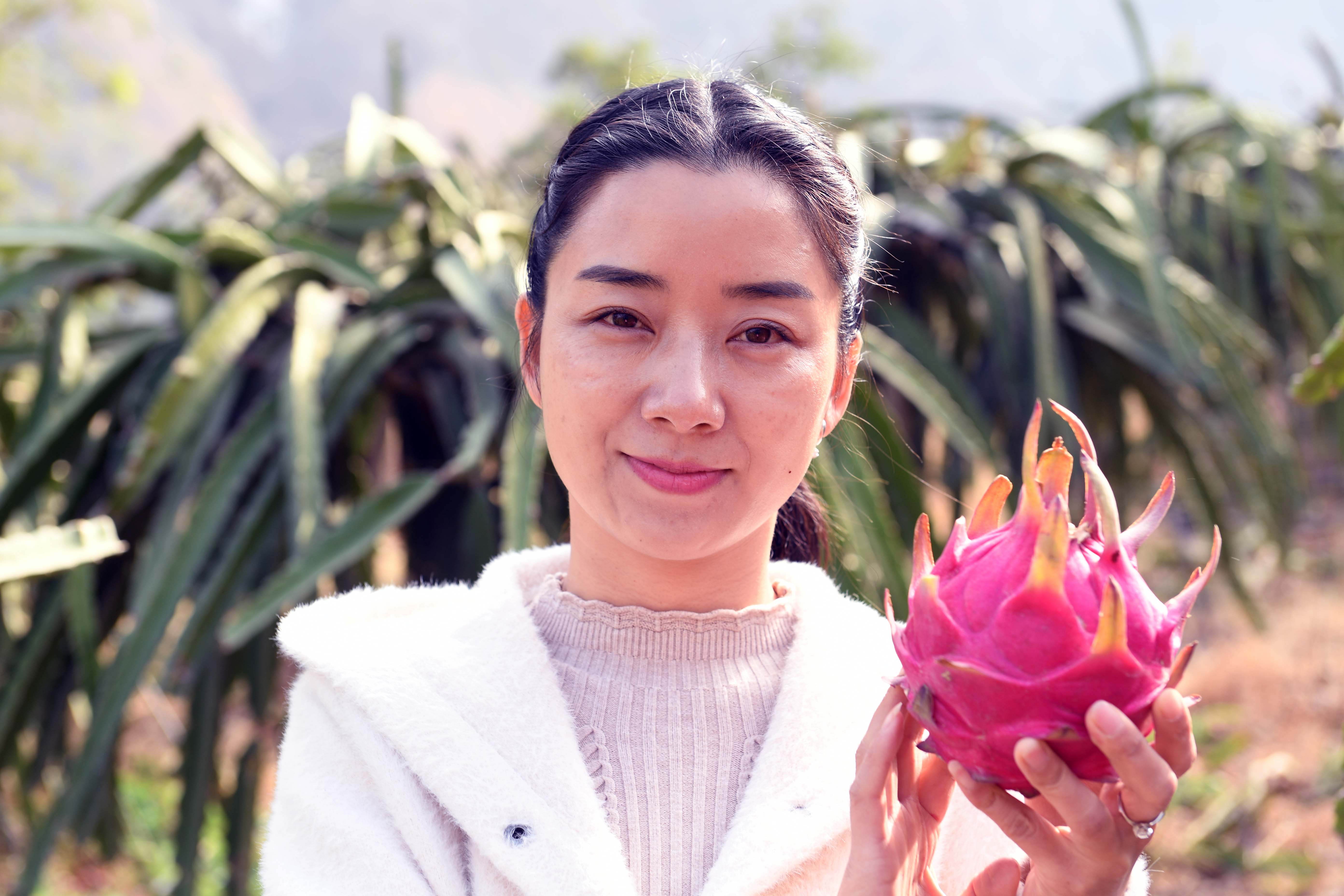 云南东川:脱贫攻坚中的"五朵金花"(2)