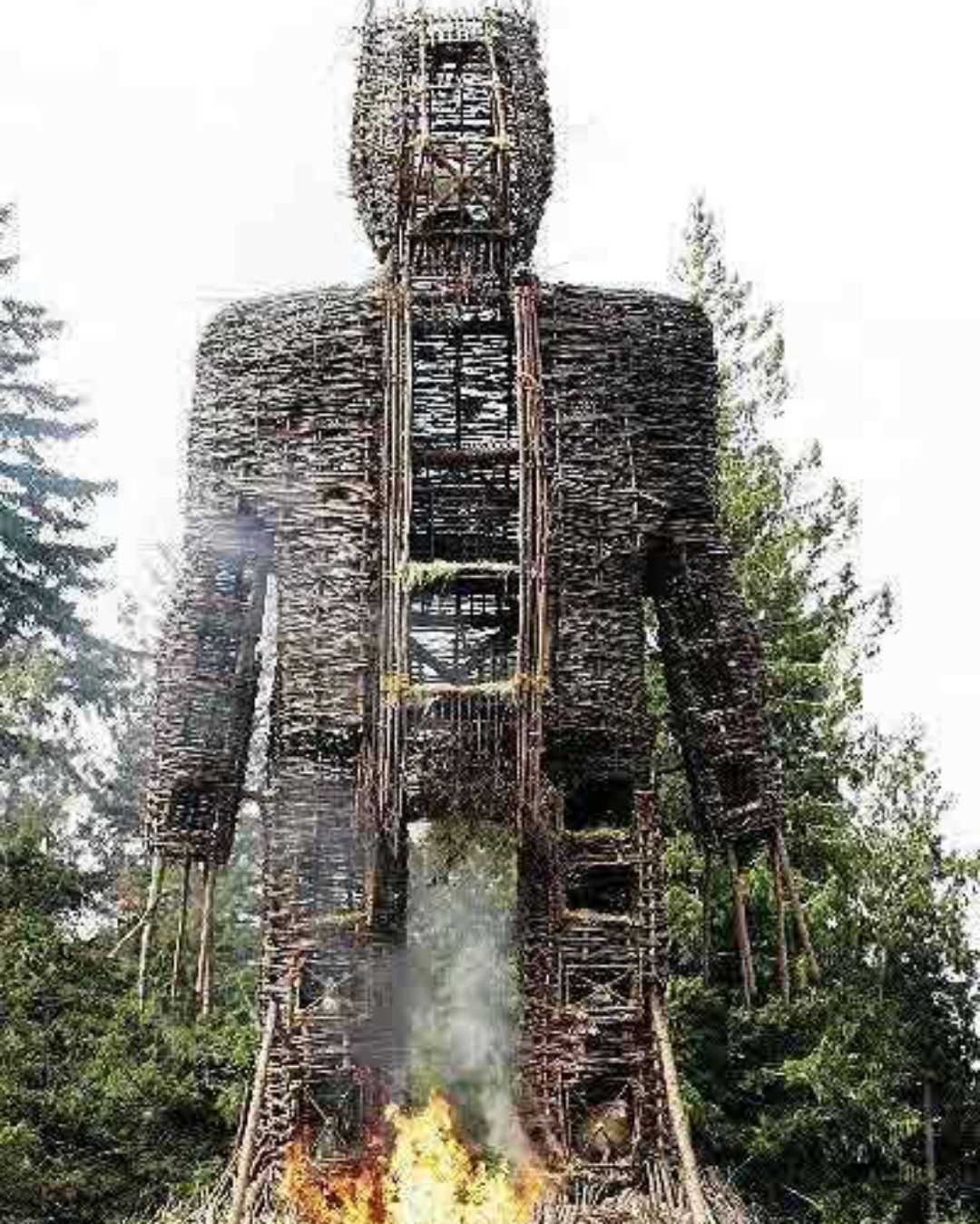 西方历史上的酷刑——"柳条人",残酷程度令人咋舌