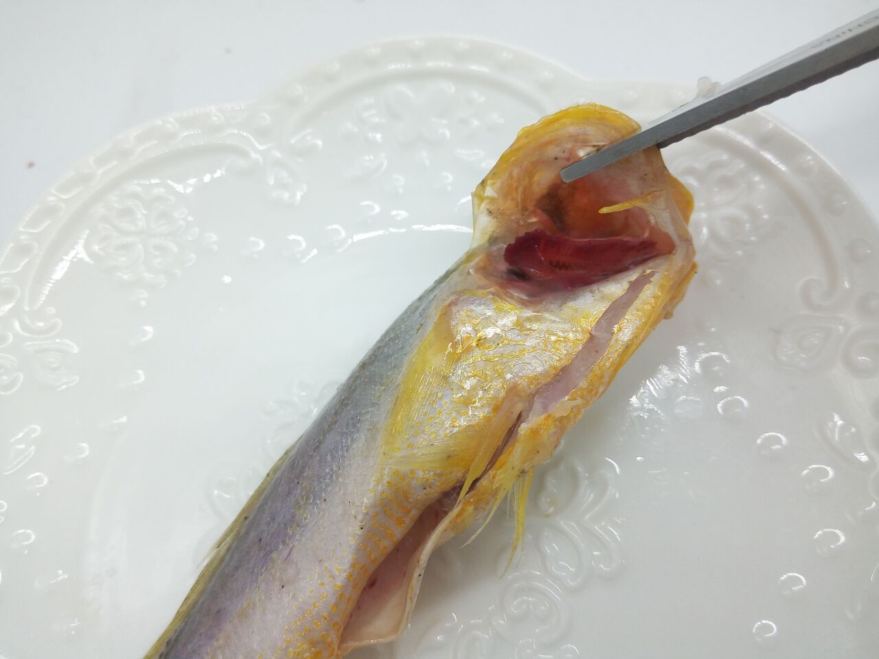 香酥油炸鱼,营养又健康,你值得拥有!