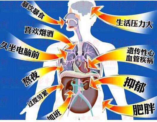 猝死离我们有多远?浅谈中年人的健康危机