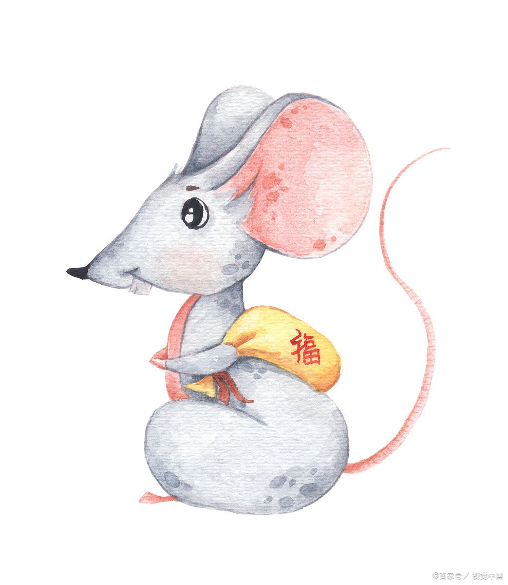 属鼠生肖的运势怎么样(属鼠生肖的运势怎么样女)