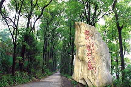 重庆歌乐山国家森林公园