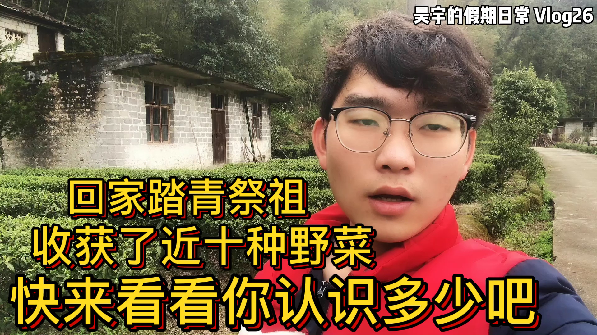 在农村踏青,收获了近十种野菜,你知道这些野菜叫什么名字吗?