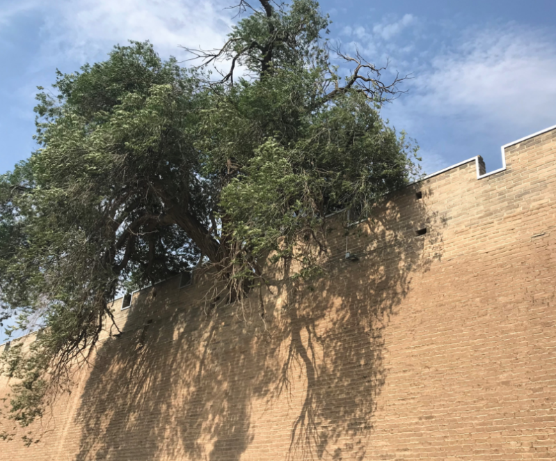 明长城山西镇军事要塞——旧广武古城