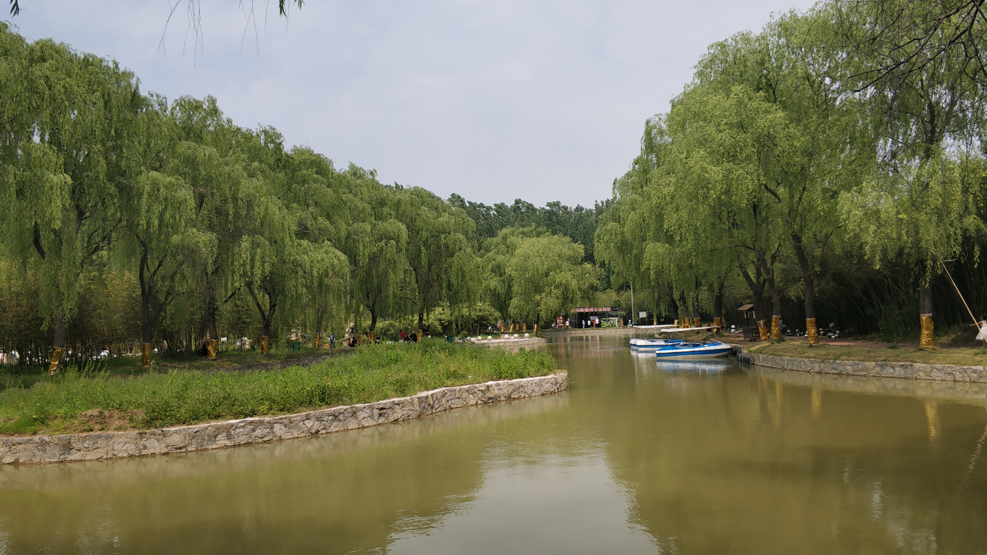 商丘森林公园里这个景点,游客体验不好,网友:名不副实,面积小