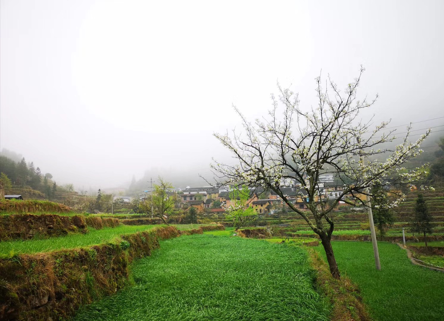 雨后的春天来这里,你才会切实体会到什么才是风景如画
