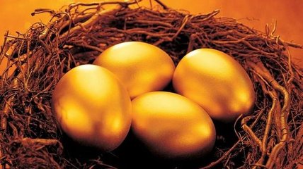 勤劳致富,还得用脑子,愚蠢的我遇上点金圣手