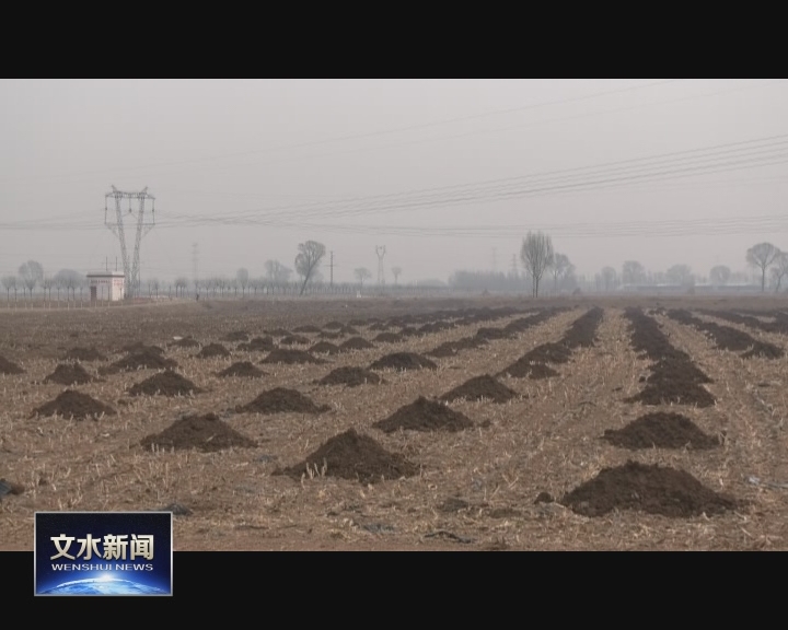 西明阳村:防疫生产两不误春耕备耕早行动