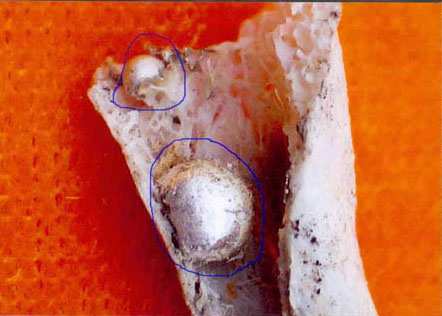 如今的舍利子比古代多真的是因为高僧比古代多了吗?真相让人羞愧