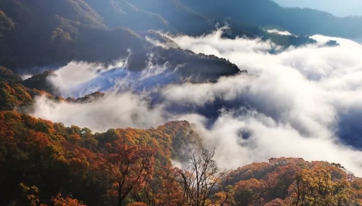 合肥旅游网——带你走进安徽之心