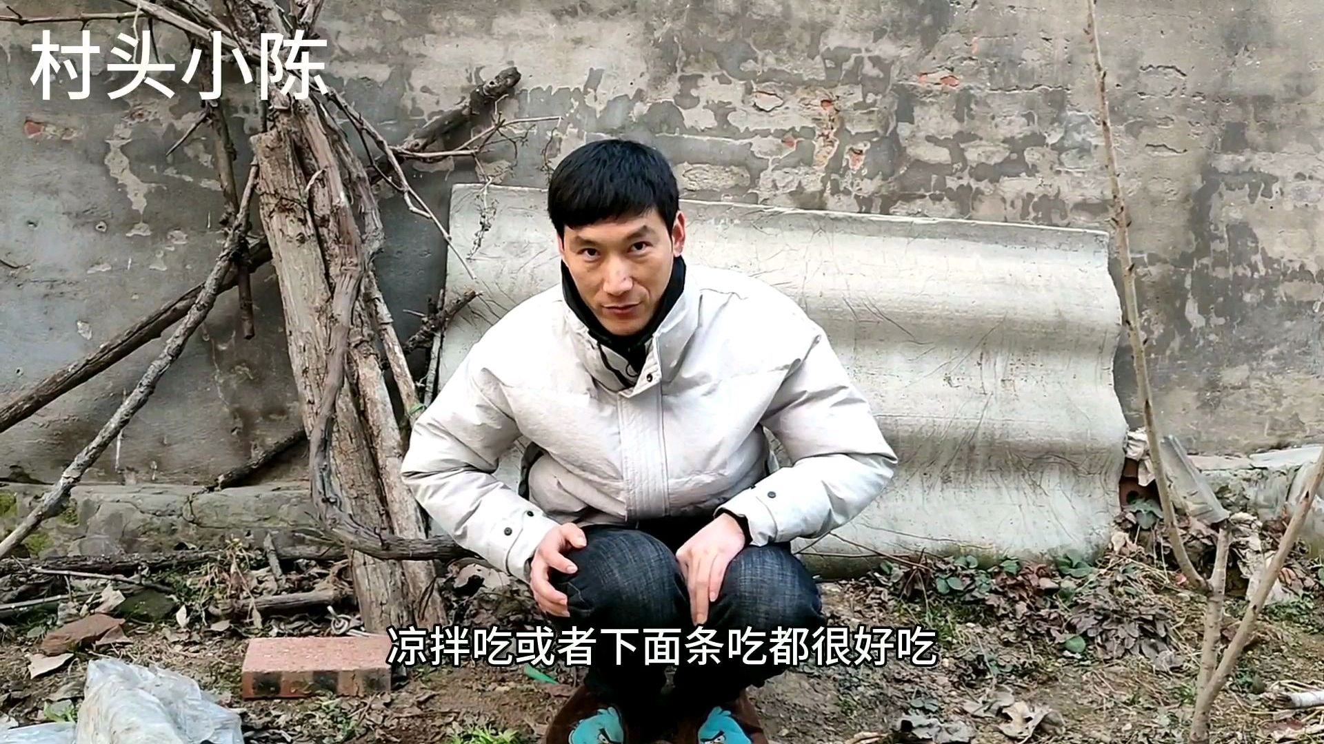 河南农村小伙种小青菜,做凉拌菜吃了好处多,就是有点苦