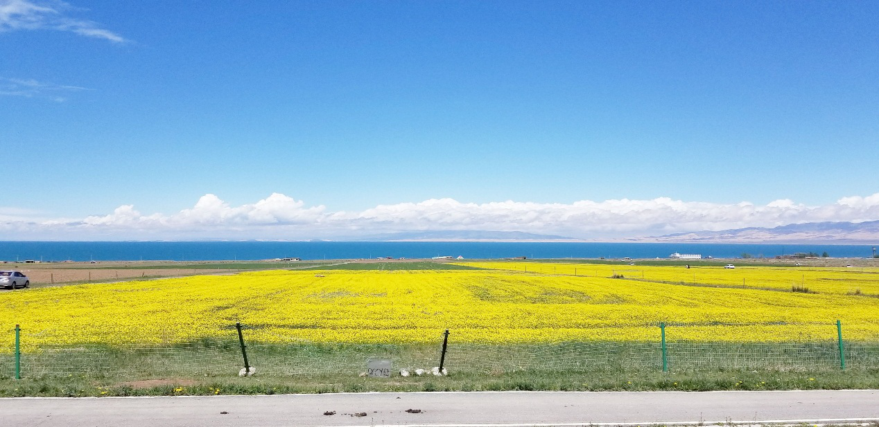 大暑节气,国内3大避暑胜地,让夏季清爽起来!