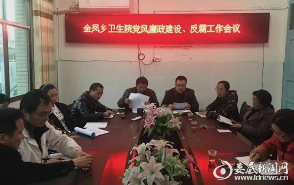 新化县金凤乡卫生院扎实推进党风廉政工作