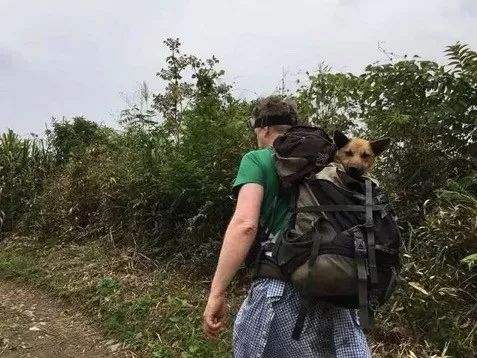 他们徒步登山12个小时,只为兑现自己的承诺,太暖心了