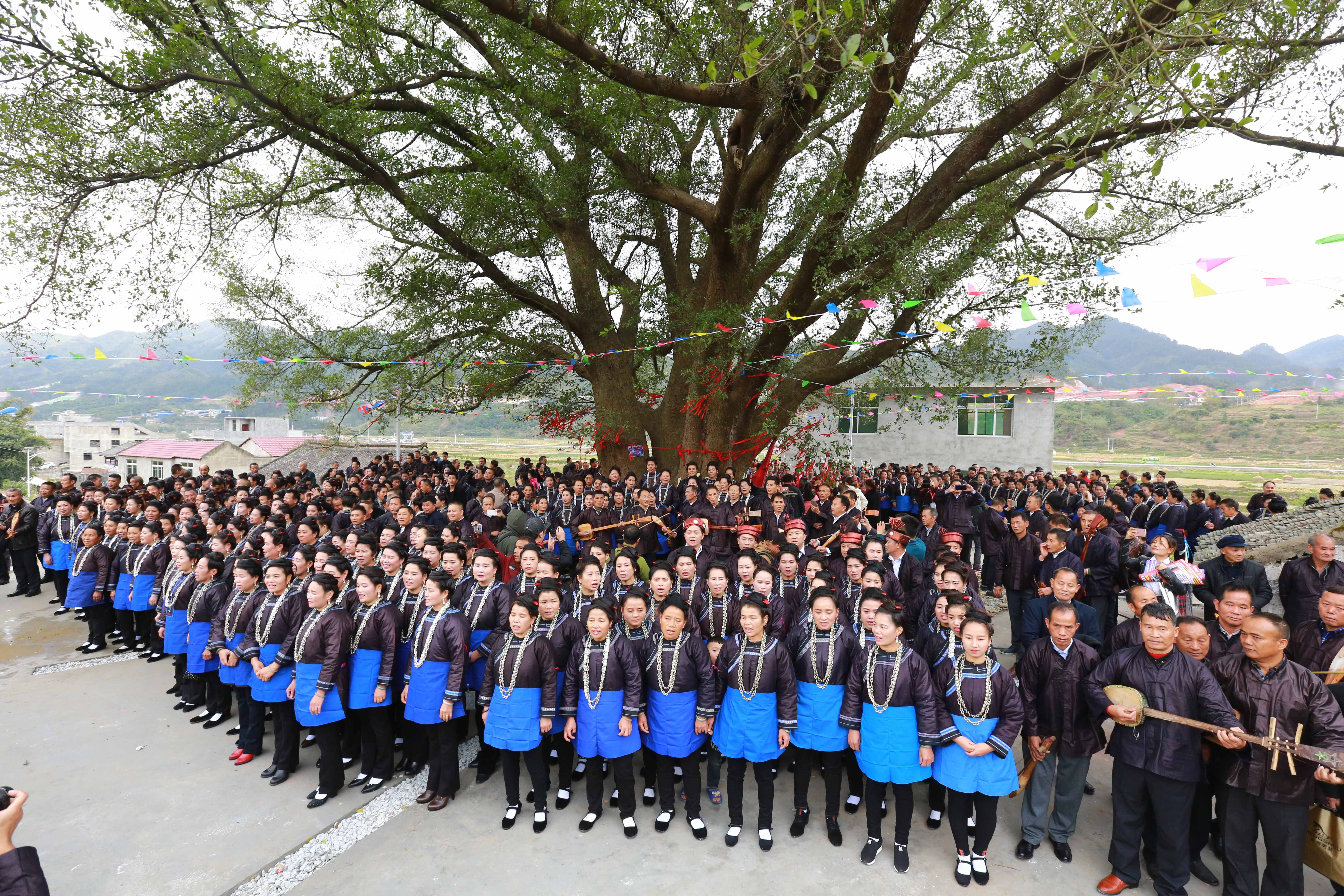 11月11日,在贵州省榕江县忠诚镇定达侗寨,村民们在古榕树下唱牛腿