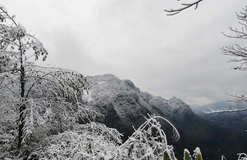 27日,鹤峰高山地区迎降雪,山间树木草丛到处