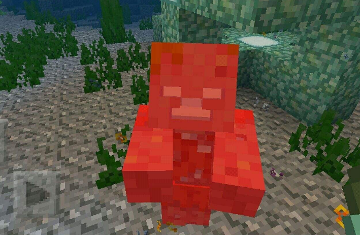 minecraft:盘点海洋之心之6大功能,老玩家神预言:未来新宠!