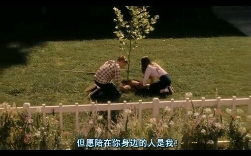 我与你之间的怦然心动,亦是一见钟情,最后白头,最后同归.