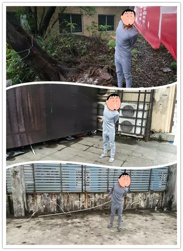 顺德惊现"蜘蛛侠"?飞檐走壁一露脸就成"瓮中鳖"