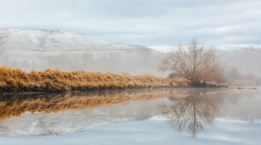 百雀羚等“新国货”崛起的启示,老牌家电如何借文化激活消费?-家电圈官网