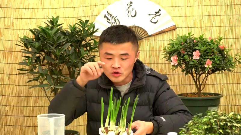三招两式解决水仙装蒜，告别徒长不开花，一个种球开仨花,生活,园艺,好看视频