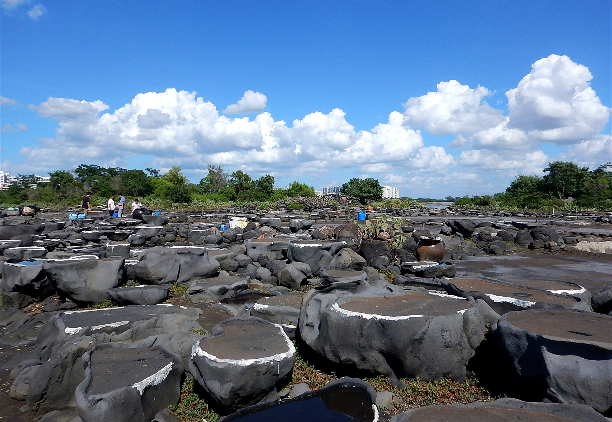 如此管理,千年古盐田还能存在多久?