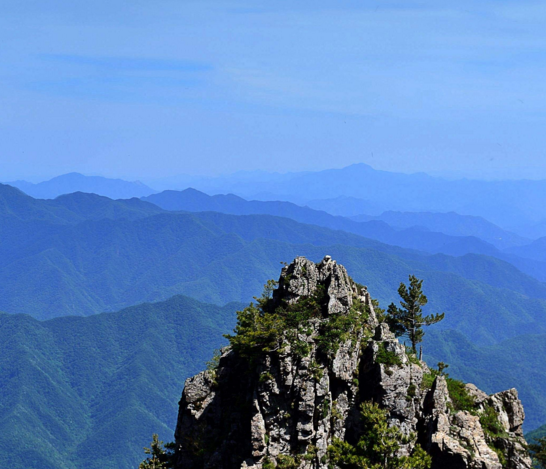 在陕西与河南交界处分为三支,北支为崤山,中支为熊耳山;南支为伏牛山