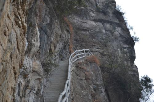 留美病人——北大毕业生王猛