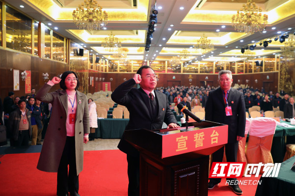刘杨满票当选为临武县人民政府县长