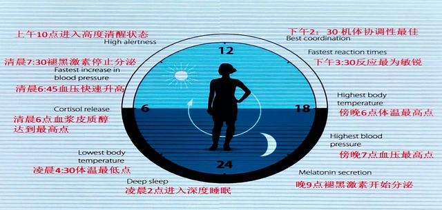 双博笔谈:物质世界统一性似为频率,人体健康的第一选择正是频率