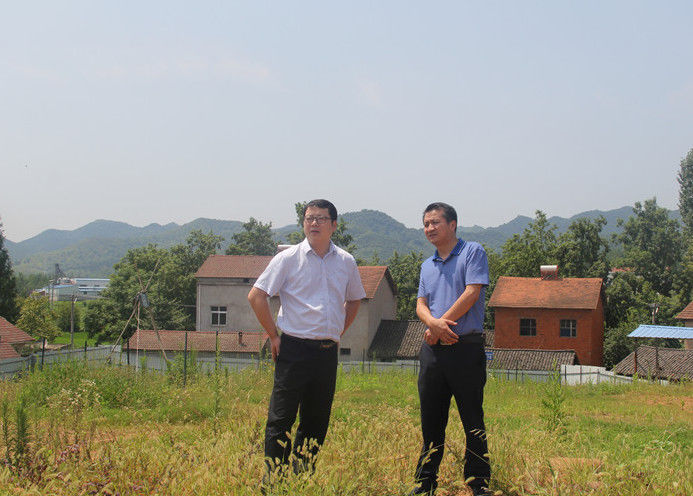 京山法院院长王宽军一行到综治联系点坪坝镇走访调研
