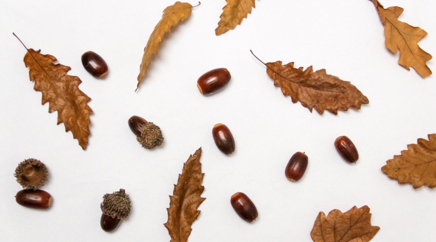 电商厨电净水市场集体变脸,华为松下戴森在家电业重走老路!-家电圈官网