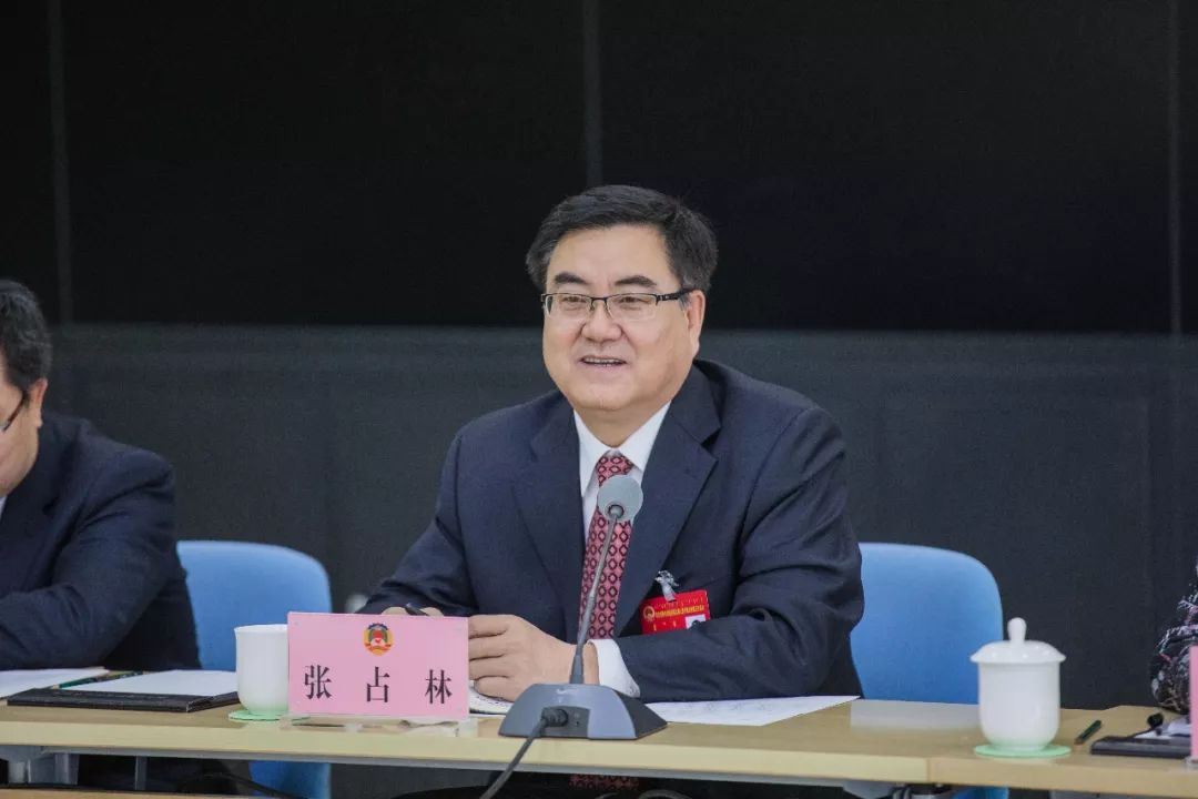 张占林与政协委员一同讨论政府工作报告
