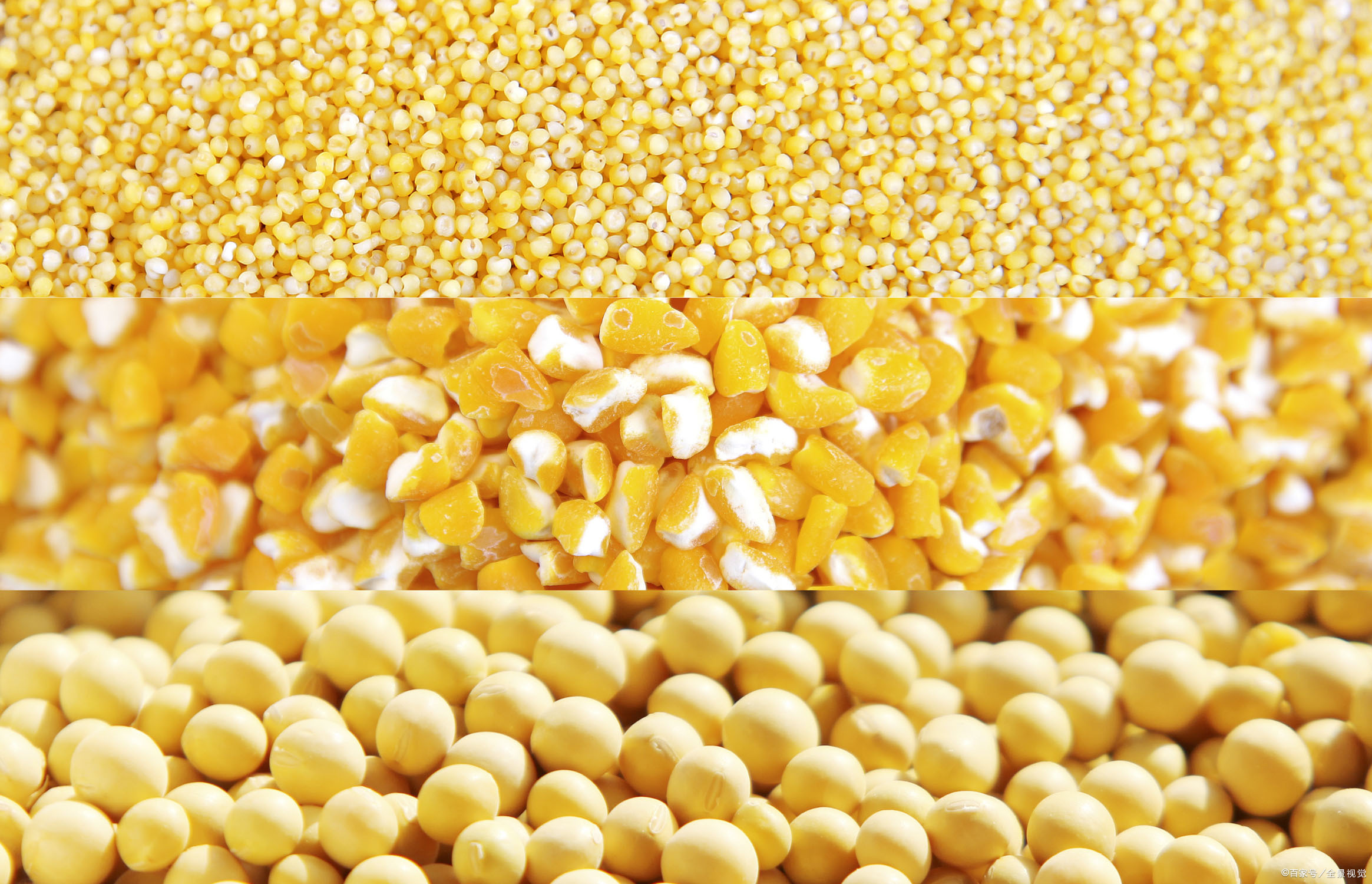 杂粮- 热门商品专区