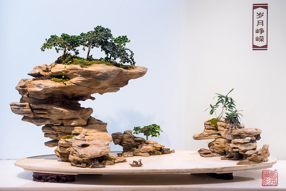 意境万千犹如无声的诗,一组山水盆景名家作品欣赏,喜欢请收藏