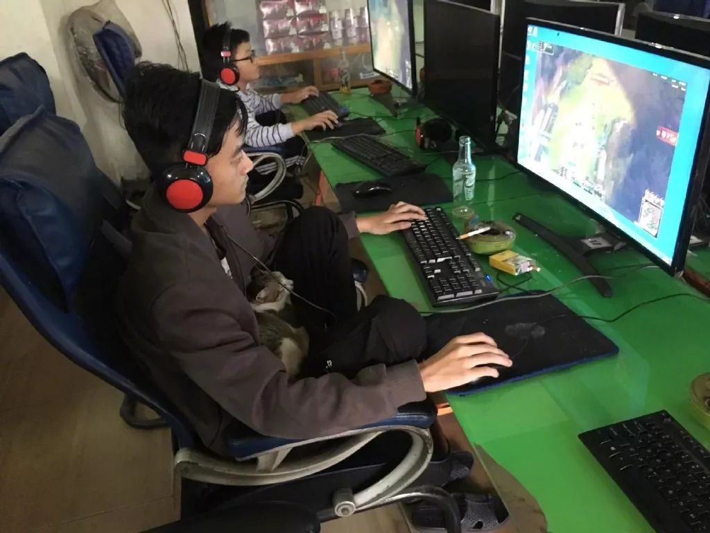 人家猫超乖呢 这是常驻网吧的喵吧,这俩都是网瘾少年 有猫还打啥游戏?