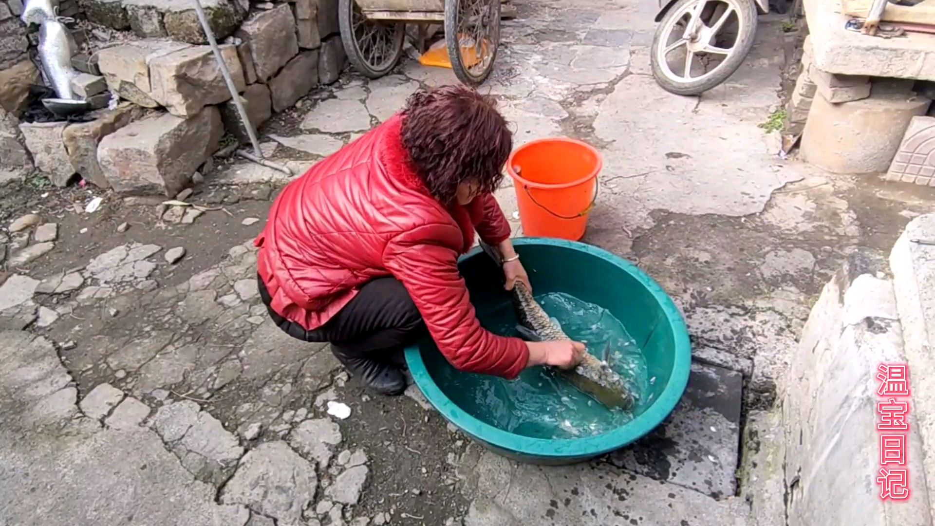 小伙在鱼市买条鱼,看完妈妈杀鱼全过程,就明白为什么过年要吃鱼