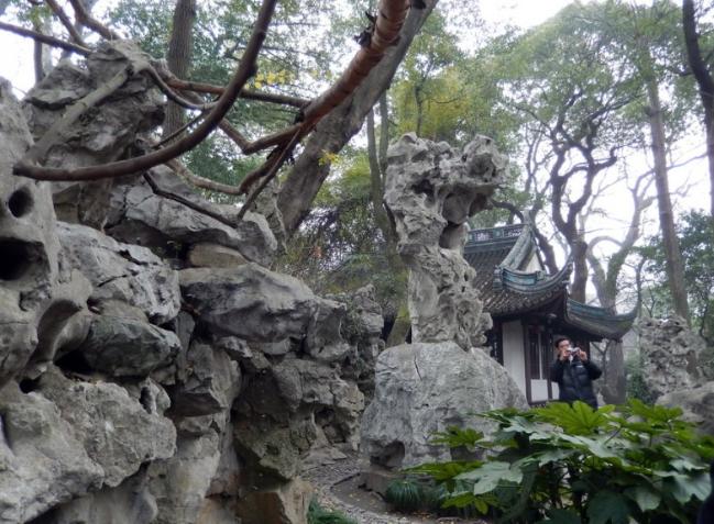 海盐县有座园林,它就是绮园,你来过这里吗? 园中的假山石.